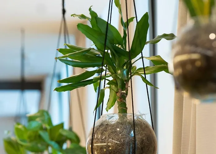 Innside Dresden Ξενοδοχείο 4*